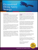 Occupational Diving Safety Strategy