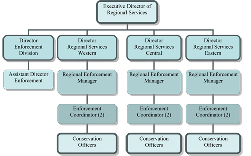 Enforcement Org Chart