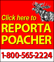report a poacher