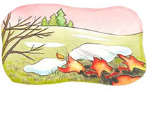 Myths About Grass Burning
