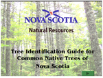 Tree ID