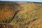 An aerial view of the French River Wilderness Area in Victoria Co., which is a proposed expansion.