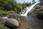 Water runs down rocks in  Margaree River Wilderness Area, Inverness Co., which is a proposed expansion.