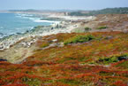  A scenic view of Capelin Cove in the Fourchu Coast Wilderness Area, Richmond Co., a proposed new wilderness area.