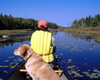 An adventurer and dog glide down the Silver River in the proposed Silver River Wilderness Area in Digby and  Yarmouth counties, a proposed new wilderness area.