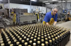 A worker at Van Dyk's in Caledonia, Queen's Co., lines up bottles juice. The company ships the product worldwide from its Nova Scotia facility.