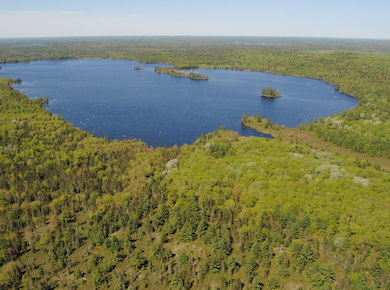 Harpers Lake Nature Reserve