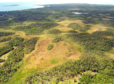 Point Michaud Nature Reserve