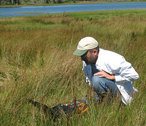 wetland assessment resources