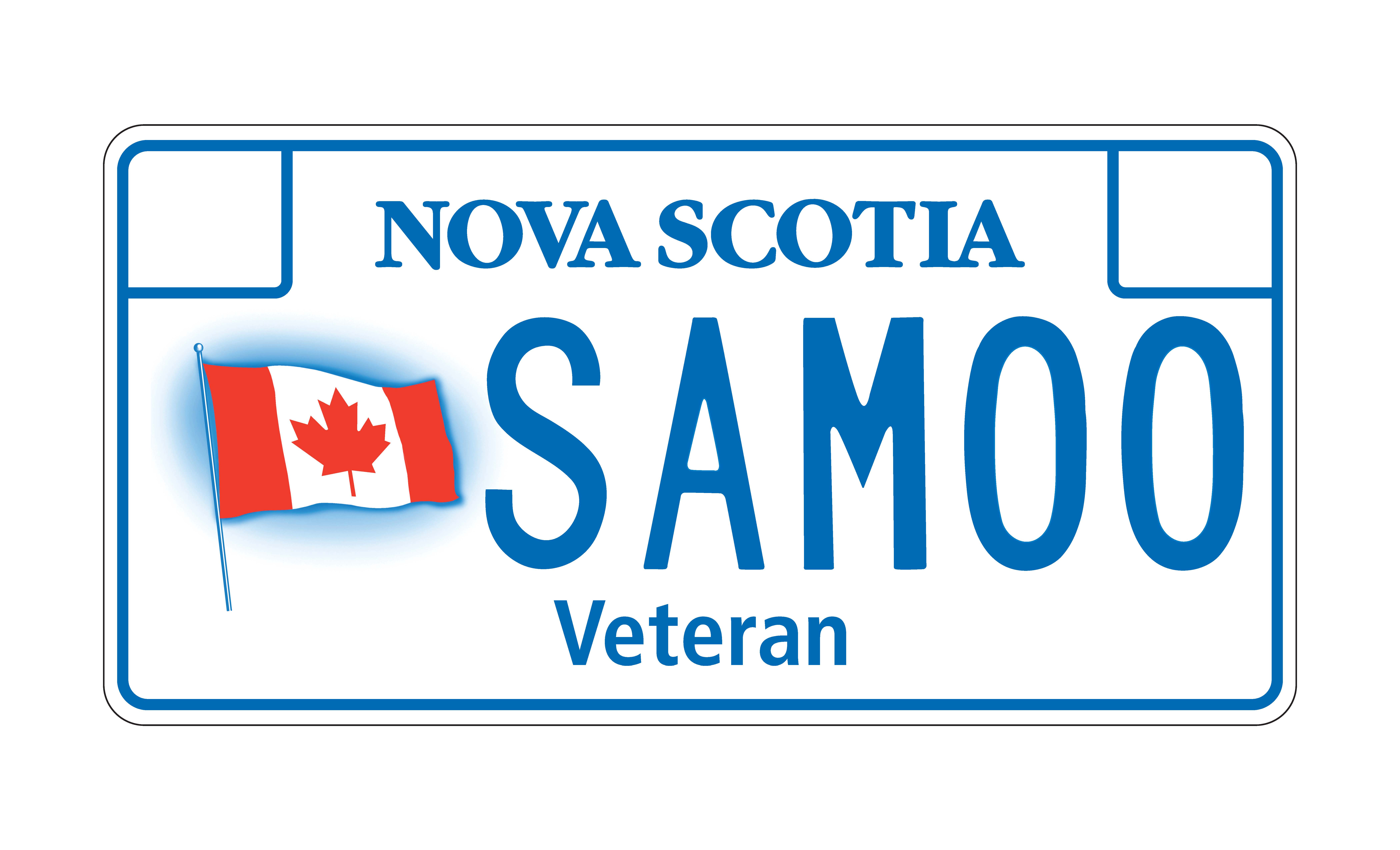 Graphic showing a veteran's number plate for a passenger vehicle or a commercial motor vehicle