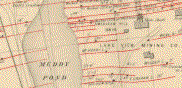 An image of a Mineral Rights Disposition map of Nova Scotia.