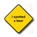 I spotted a bear