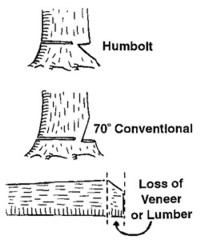 Knowing Your Woodlot: Hardwoods vs. Softwoods - Buskirk Lumber