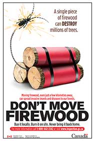 Don't Move Firewood Rack Card