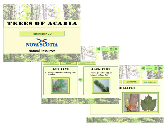 Vegetation Identification Chart