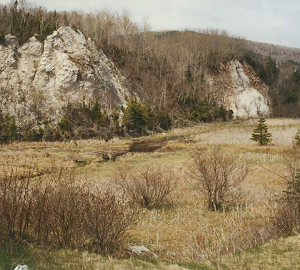 Gypsum cliff, Mabou Harbour