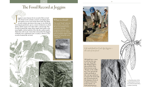 pages from Coal Age Galapagos
