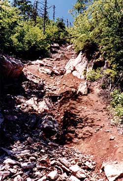 landslide image