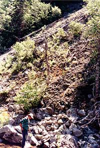 landslide image