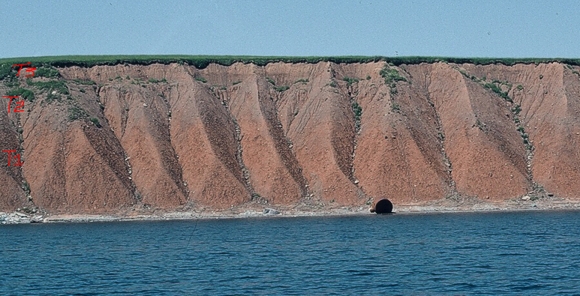 Ballantynes Cove Section
