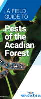 Field Guide to Pests of the Acadian Forest brochure