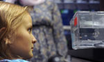 Eleven-year-old cancer patient Olivia Mason looks at some specimens in the Berman Zebrafish Laboratory.