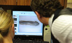 Dr. Jason Berman show a closeup view of a zebrafish on his computer.