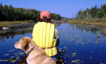 Silver River-Carrying Road Lakes-Silver Caribou Rivers Junction, a potential protected area candidate.