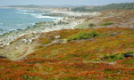Capelin Cove, a potential protected area candidate.