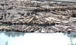 Logs are floated in the water in the Barney's River area near Antigonish.