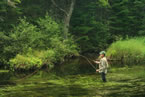A fly fisherman stands in the water in Kelley River wilderness area, Cumberland County.