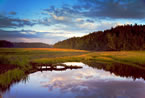 Driftwood sets in the water at Sand River, Raven Head wilderness area, near Joggins. (Photo by Irwin Barrett)