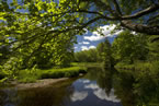 A spring maple frames a shot of Kelley River wilderness area, Cumberland County. (Photo by Irwin Barrett)