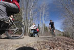 People make their way along a trail in the Chester area.