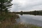 Sixty-seven acres of land on Gillfillan Lake has been acquired by the province through land trust agreement with the Nova Scotia Nature Trust.