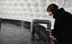 Service Nova Scotia and Municipal Relations Minister Ramona Jennex looks at European sea bass in their tank.