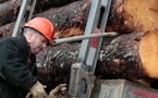 Trucker Allan Thompson of Elmsdale checks a load of logs at Elmsdale Lumber Company.