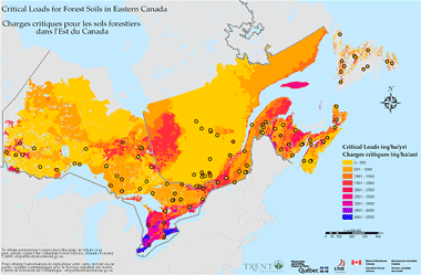 critical loads for forest soils in Eastern Canada