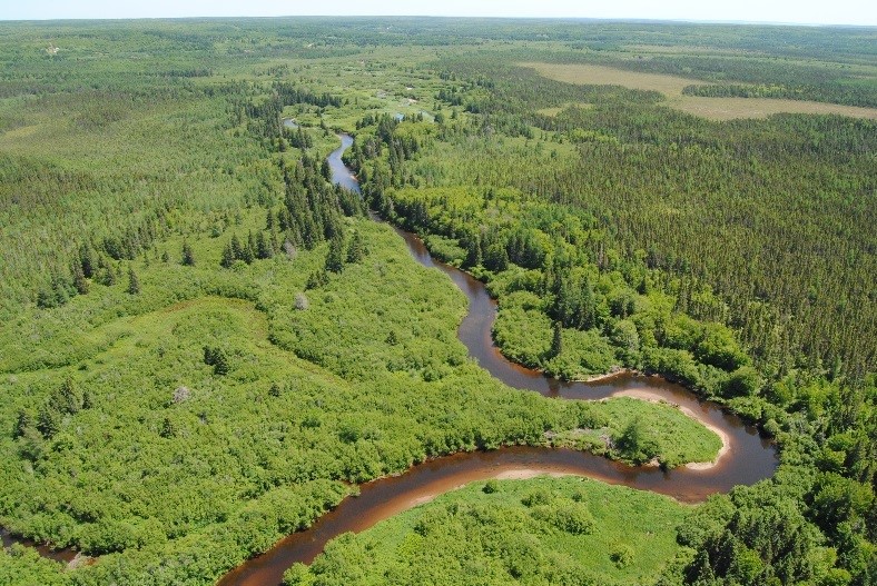 River Inhabitants Nature Reserve 