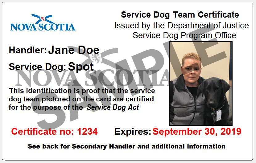 Service Dog Team Certificate ID card (Sample)