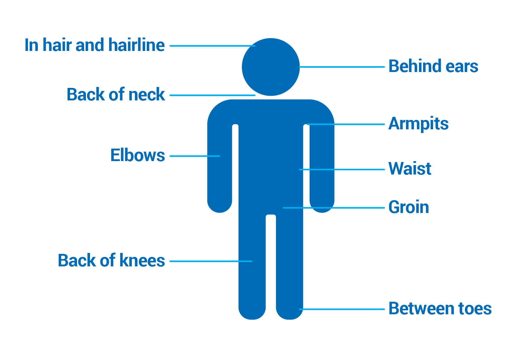 Diagram of a person with areas to check: in hair and along hairline, behind ears, back of neck, armpits, elbows, waist area, back of knees and between toes